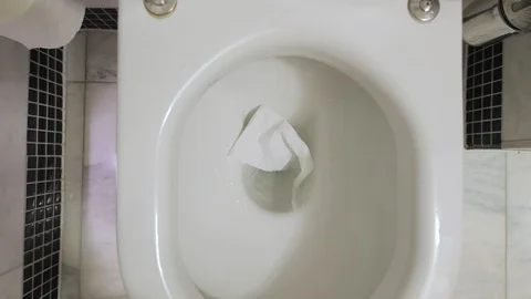 Flushing down the toilet Vídeo Stock 86778705