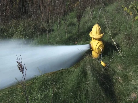 Flushing of Fire Hydrant - Grass - Medium shot Stock Footage 81494205