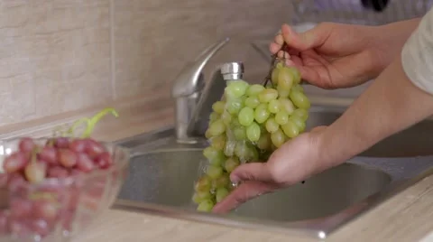 Flushing of green vine under the steam of cold water Stock Footage 54330372