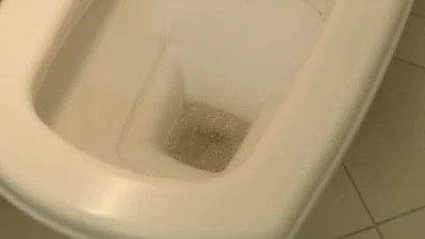 Flushing long fallen hair down white ceramic toilet bowl Vidéo 346834787