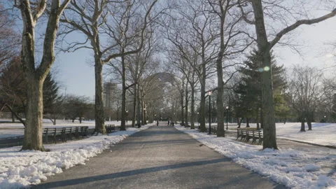 Flushing Meadows Park during the winter Stock Footage 266108797