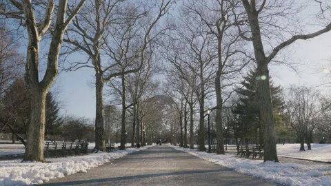 Flushing Meadows Park on a winter day Stock Footage 266109590