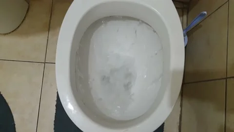 В Туалете Порно Видео | riosalon.ru