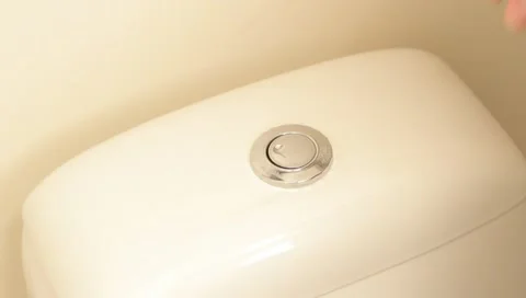 Flushing the toilet Video stock 10682332