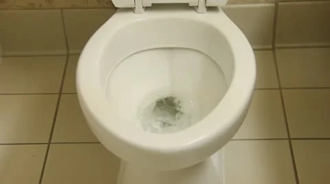 Flushing toilet Vídeo Stock 18186190