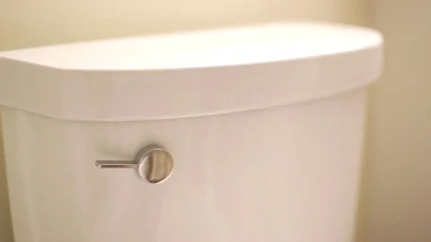 Flushing Toilet  Stock Footage 82042061
