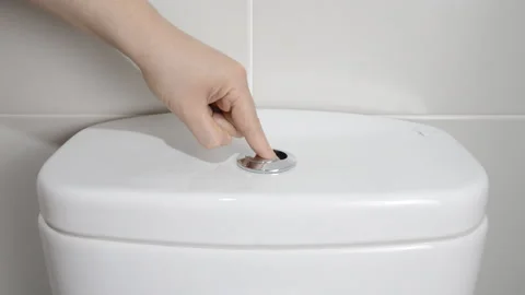 Flushing Toilet Vidéo 96067498