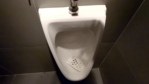 Flushing the toilet Stock Footage 139986676