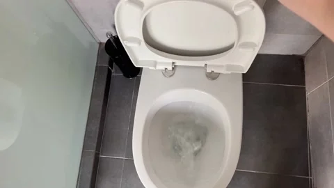 Flushing the toilet Stock Footage 212176320