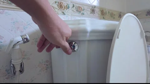 Flushing toilet Stock Footage 308697491