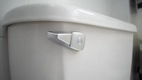 Flushing a Toilet, Pulling the Flush Lever, Draining the Cistern, Toilet Flush Stock Footage 300600194