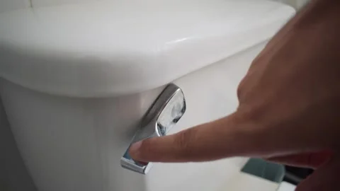 Flushing a Toilet, Pulling the Flush Lever, Draining the Cistern, Toilet Flush Stock Footage 300600211