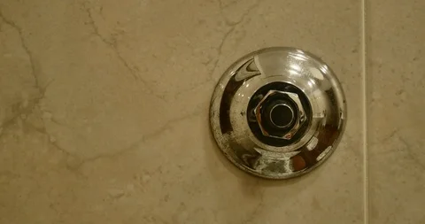 Flushing Toilet  WC 스톡 동영상 98482777