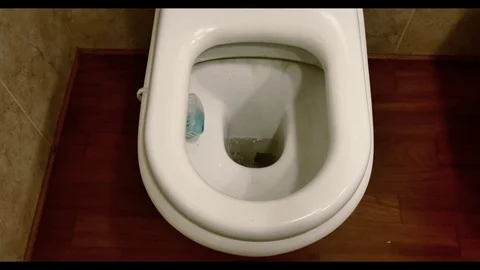 Flushing Toilet  WC Stock Footage 98482795
