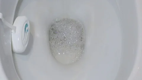 Flushing the water in a ceramic toilet Stock Footage 76311953