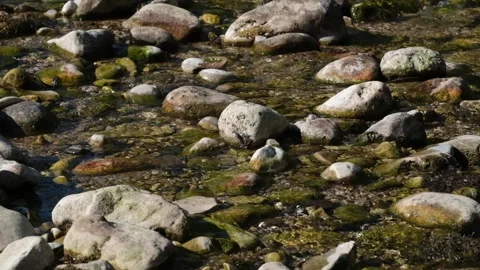 Fluss 3 Video stock 322220939