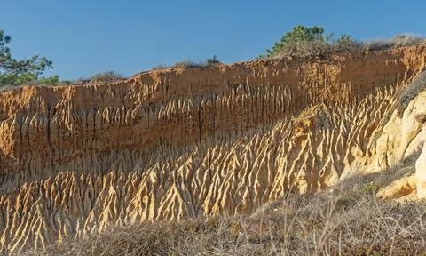 Fluted Erosion in Sandstone Cliffs Stockfoto's
