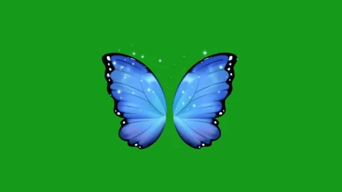 Fluttering butterfly wings motion graphics with green screen background Stock Footage 193995569