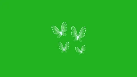 Fluttering magic butterflies motion graphics with green screen background Stock Footage 278359391