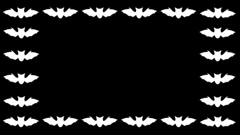 Fluttering white bats frame on plain black background Stock Footage 273840942