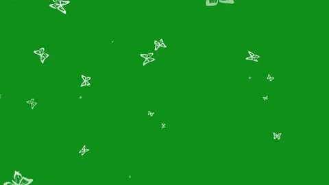 Fluttering white butterflies motion graphics with green screen background Stock Footage 336965242