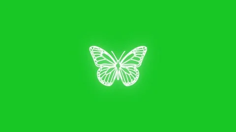 Fluttering white butterfly motion graphics with green screen background Video stock 334697422