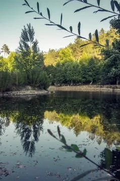 Fluvial Beach Stock Photos