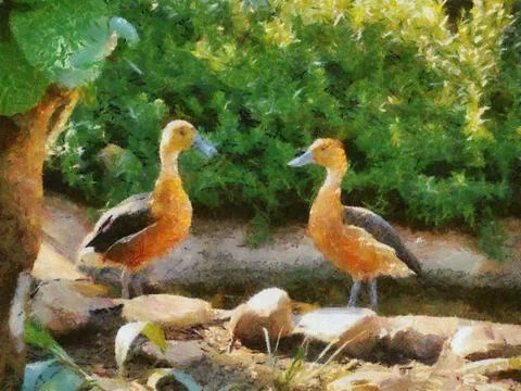 Fluvous whistling ducks Stock Illustration