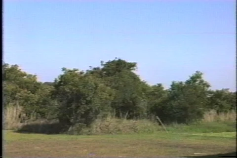 FLVenice 1 動画素材 304785