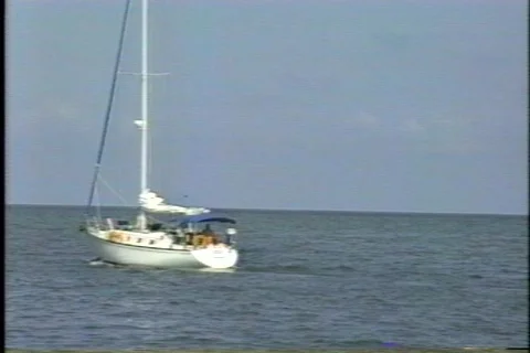 FLVenice 11 Stock Footage 304513