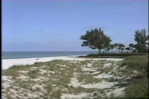 FLVenice 29 動画素材 304611