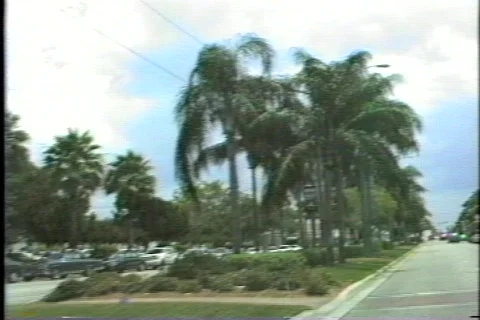 FLVenice 5 Stock Footage 304751