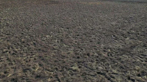 Fly Above Stock-Footage 47954943