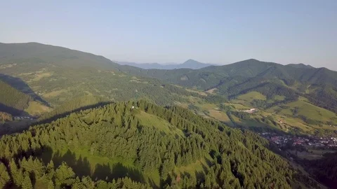 Fly above green forest trees in sunny summer nature landscape Stock Footage 127041770