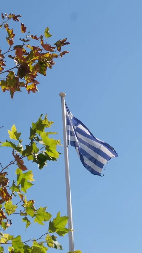 Fly above Iconic Parthenon and Surrounding Ancient Ruins in Athens, Greece Stock Footage 317709694