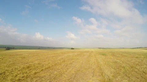 Fly above the meadow Stock Footage 49027320