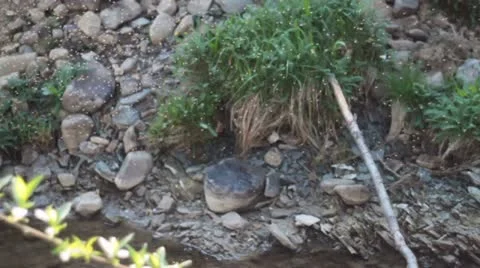 Fly above mountain stream Stock Footage 10805067