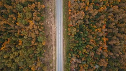 Fly above road. Drone view Stockbeeldmateriaal 105275165