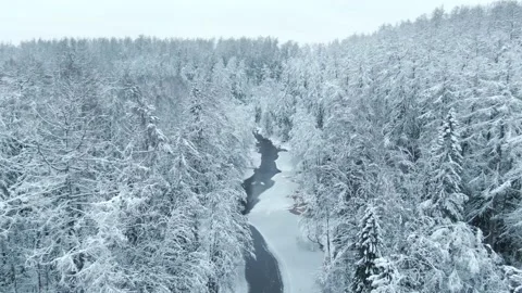 Fly above small river in snow covered winter woods Stock Footage 146541772