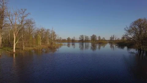 Fly above spring river in high water flood season 4k aerial wild forest trees Stock Footage 77375469