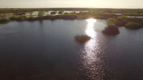 Fly above sun reflecting rippled water of river or lake overflowed banks spring Stock Footage 77907892