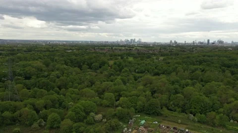 Fly above trees in park or forest in town surroundings Stock-Footage 155819947