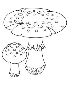 Fly agaric, big and small mushrooms - vector linear picture for coloring. Stock Illustration