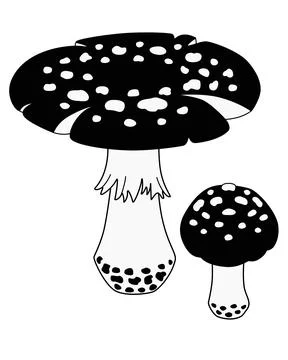 Fly agaric, big and small mushrooms - vector silhouette picture Stock Illustration