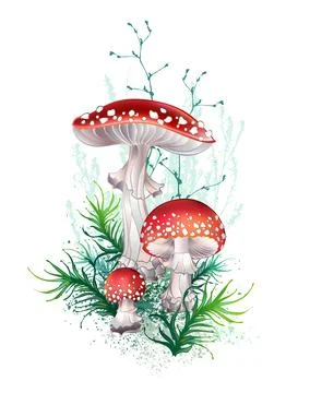 Fly agaric composition Stock Illustration