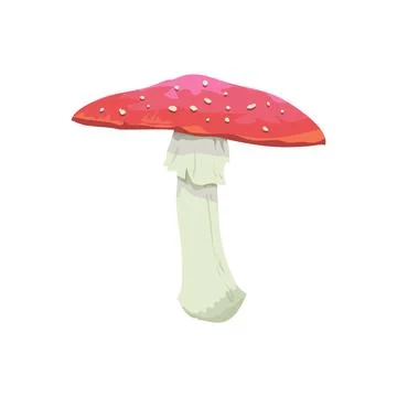 Fly agaric for creating art brushes in cartoon style. Vector Stock Illustration