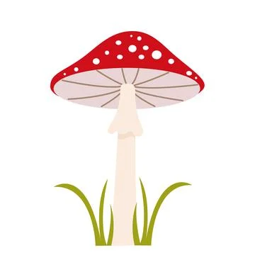 Fly agaric in grass clip art illustration Иллюстрация