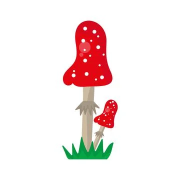 Fly agaric on grass isolated on white background Stock Illustration