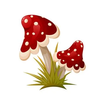 Fly agaric in the grass. Two poison mushrooms, vector illustration Stock Illustration