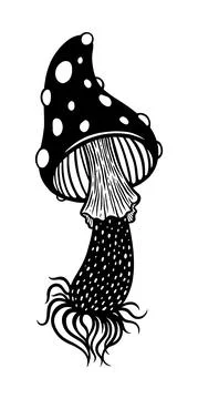 Fly agaric illustration Ilustração Stock